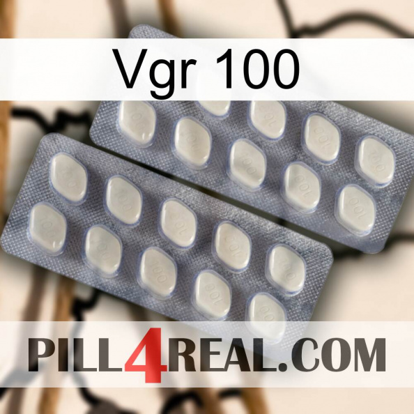 Vgr 100 07.jpg